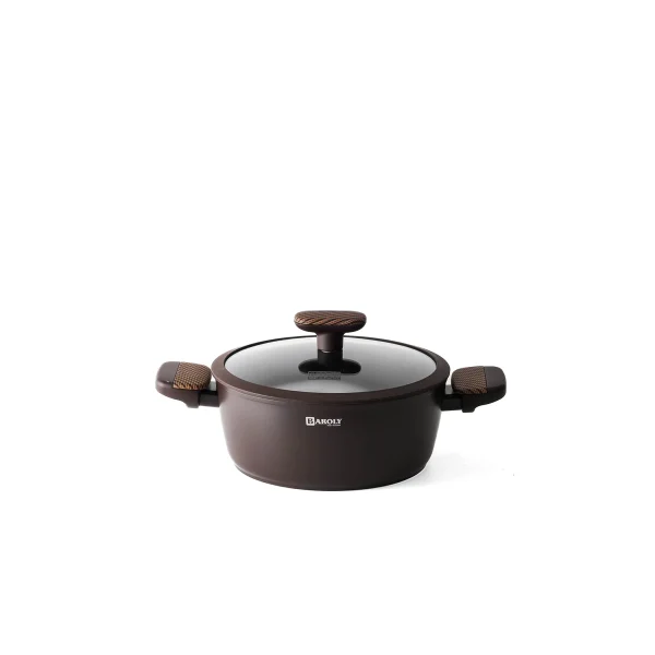 Titanium pot