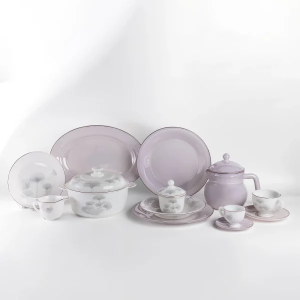 Arcopal Dinner Set